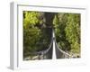 Person on Huon Swinging Bridge Over Huon River, Tahune Forest Reserve, Tasmania, Australia-David Wall-Framed Photographic Print