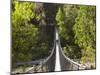 Person on Huon Swinging Bridge Over Huon River, Tahune Forest Reserve, Tasmania, Australia-David Wall-Mounted Photographic Print