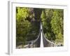 Person on Huon Swinging Bridge Over Huon River, Tahune Forest Reserve, Tasmania, Australia-David Wall-Framed Photographic Print