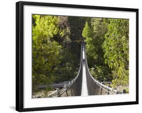 Person on Huon Swinging Bridge Over Huon River, Tahune Forest Reserve, Tasmania, Australia-David Wall-Framed Photographic Print