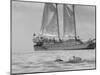 Person on Vacation in the Caribbean Sea in Front of a Catamaran-Michael Rougier-Mounted Photographic Print