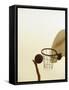 Person's Hand Holding a Basketball Near the Hoop-null-Framed Stretched Canvas