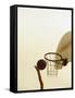 Person's Hand Holding a Basketball Near the Hoop-null-Framed Stretched Canvas