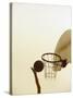 Person's Hand Holding a Basketball Near the Hoop-null-Stretched Canvas