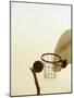 Person's Hand Holding a Basketball Near the Hoop-null-Mounted Photographic Print
