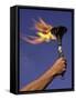 Person's Hand Holding a Flaming Torch-null-Framed Stretched Canvas