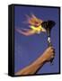 Person's Hand Holding a Flaming Torch-null-Framed Stretched Canvas