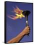 Person's Hand Holding a Flaming Torch-null-Framed Stretched Canvas