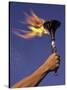 Person's Hand Holding a Flaming Torch-null-Stretched Canvas