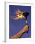 Person's Hand Holding a Flaming Torch-null-Framed Premium Photographic Print