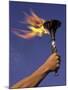 Person's Hand Holding a Flaming Torch-null-Mounted Premium Photographic Print