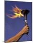 Person's Hand Holding a Flaming Torch-null-Mounted Photographic Print