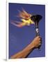 Person's Hand Holding a Flaming Torch-null-Framed Photographic Print