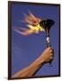 Person's Hand Holding a Flaming Torch-null-Framed Photographic Print