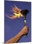 Person's Hand Holding a Flaming Torch-null-Mounted Photographic Print