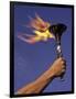 Person's Hand Holding a Flaming Torch-null-Framed Photographic Print