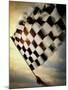 Person's Hand Waving a Checkered Flag-null-Mounted Premium Photographic Print