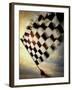 Person's Hand Waving a Checkered Flag-null-Framed Photographic Print