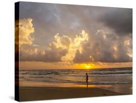 Person walking on beach, South Padre Island.-Larry Ditto-Stretched Canvas