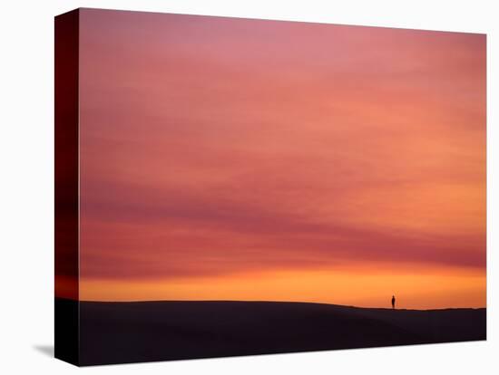 Person Watching the Sunset from Sand Dune on Coast, Oregon Dunes National Recreation Area, Oregon-Steve Terrill-Stretched Canvas