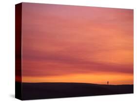 Person Watching the Sunset from Sand Dune on Coast, Oregon Dunes National Recreation Area, Oregon-Steve Terrill-Stretched Canvas