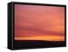 Person Watching the Sunset from Sand Dune on Coast, Oregon Dunes National Recreation Area, Oregon-Steve Terrill-Framed Stretched Canvas