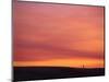 Person Watching the Sunset from Sand Dune on Coast, Oregon Dunes National Recreation Area, Oregon-Steve Terrill-Mounted Photographic Print