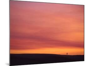 Person Watching the Sunset from Sand Dune on Coast, Oregon Dunes National Recreation Area, Oregon-Steve Terrill-Mounted Photographic Print