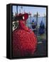 Person Wearing Masked Carnival Costume, Veneto, Italy-Bruno Morandi-Framed Stretched Canvas