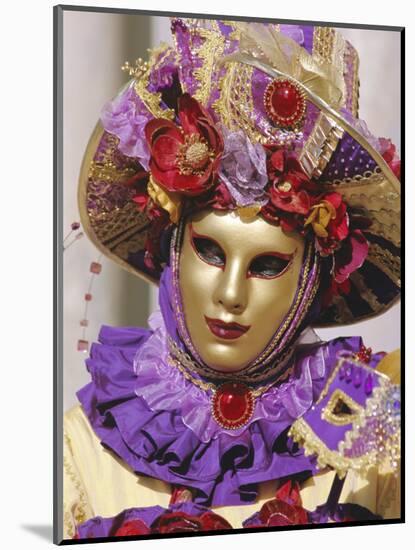 Person Wearing Masked Carnival Costume, Venice Carnival, Venice, Veneto, Italy-Bruno Morandi-Mounted Photographic Print