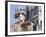 Person Wearing Masked Carnival Costume, Venice Carnival, Venice, Veneto, Italy-Bruno Morandi-Framed Photographic Print