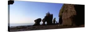 Person with a Dog, Bay of Fundy, Hopewell Rocks, New Brunswick, Canada-null-Stretched Canvas