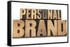 Personal Brand-PixelsAway-Framed Stretched Canvas