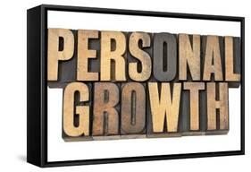Personal Growth-PixelsAway-Framed Stretched Canvas