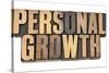 Personal Growth-PixelsAway-Stretched Canvas