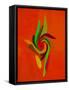 Personal Jungle-Ruth Palmer Digital-Framed Stretched Canvas
