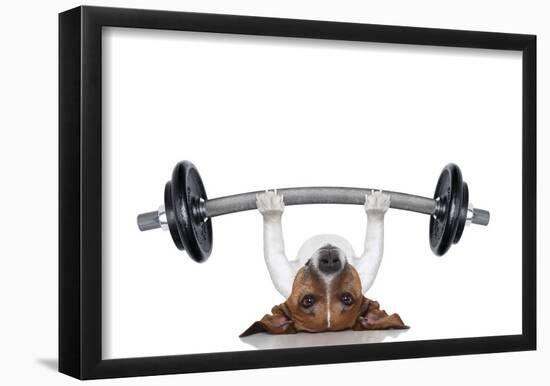 Personal Trainer Dog-null-Framed Poster