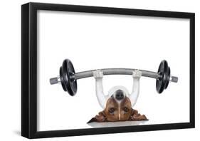 Personal Trainer Dog-null-Framed Poster