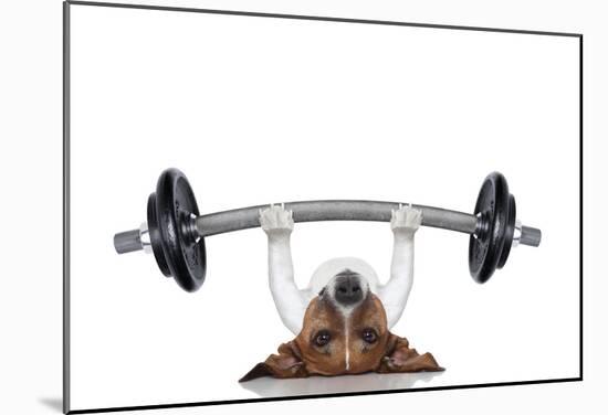 Personal Trainer Dog-null-Mounted Poster