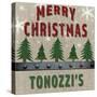 Personalized Christmas Sign V17-LightBoxJournal-Stretched Canvas