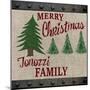 Personalized Christmas Sign V2-LightBoxJournal-Mounted Giclee Print