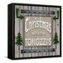 Personalized Christmas Sign V5-LightBoxJournal-Framed Stretched Canvas