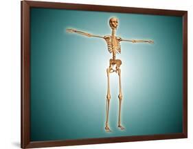 Perspective View of Human Skeletal System-null-Framed Art Print