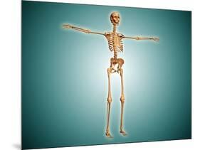 Perspective View of Human Skeletal System-null-Mounted Art Print