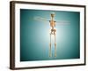 Perspective View of Human Skeletal System-null-Framed Art Print