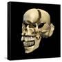 Perspective View of Human Skull-null-Framed Stretched Canvas