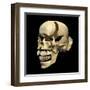 Perspective View of Human Skull-null-Framed Art Print