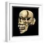 Perspective View of Human Skull-null-Framed Art Print