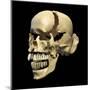 Perspective View of Human Skull-null-Mounted Art Print