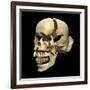 Perspective View of Human Skull-null-Framed Art Print